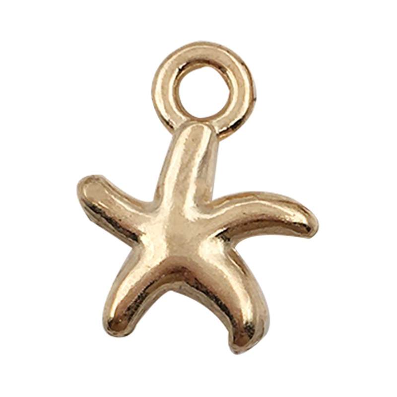 30pcs Metal Alloy Shell Starfi - Women'S Key Accessories recension och pris
