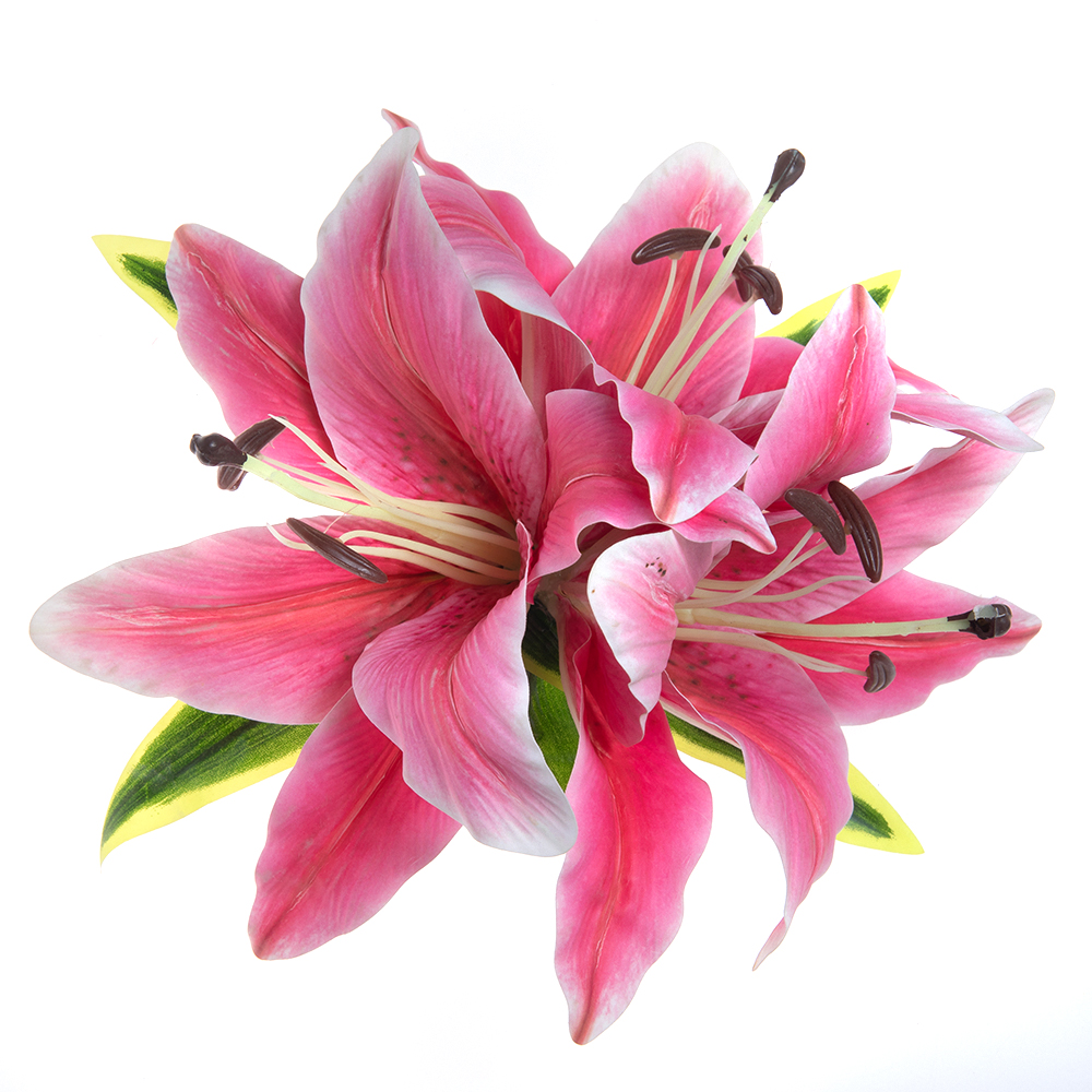 Hot Sale Aloha Large Lily Hair - Women Accessories Sale recension och pris