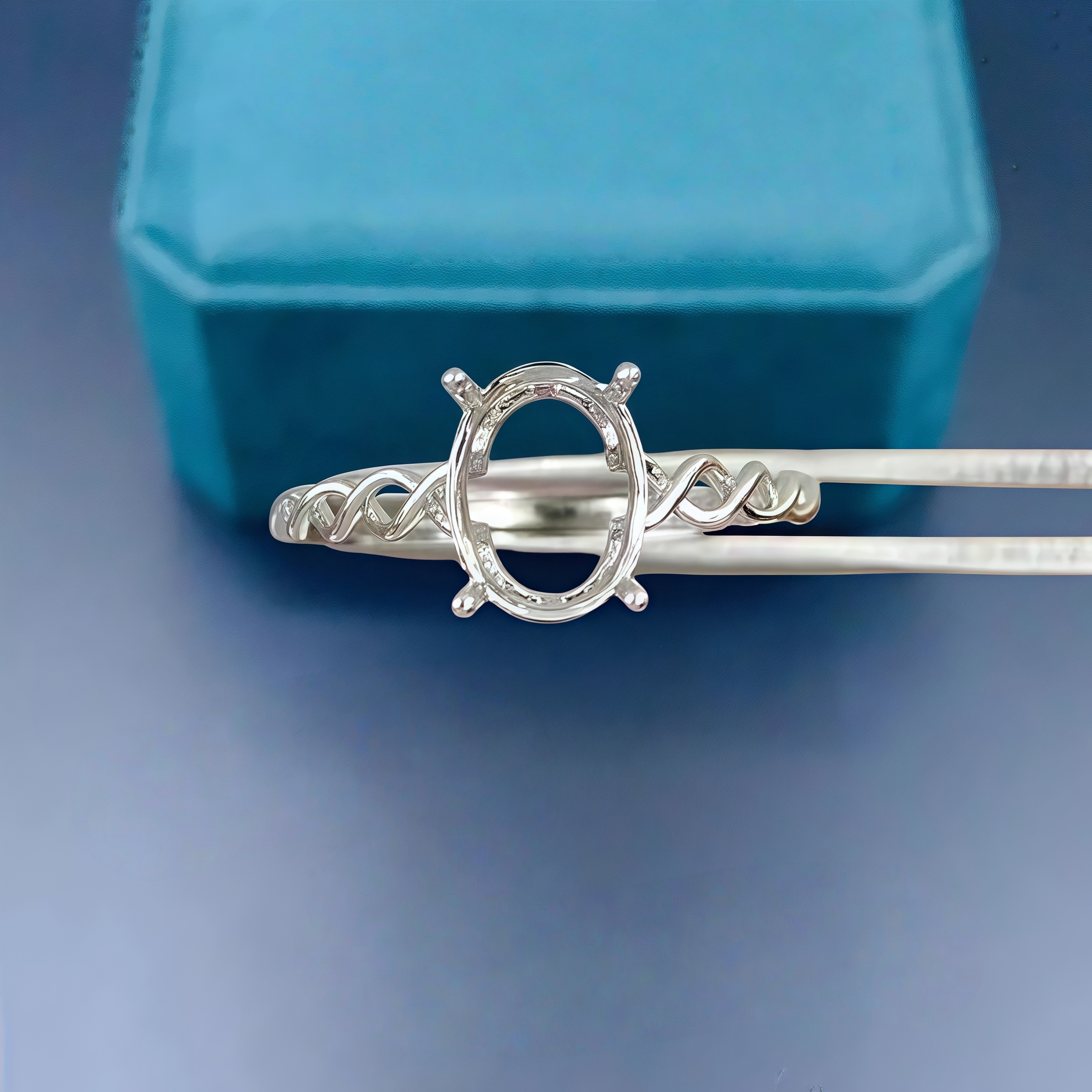 DIY Empty Ring Holder S925 Ste - Women Accessories Holder recension och pris