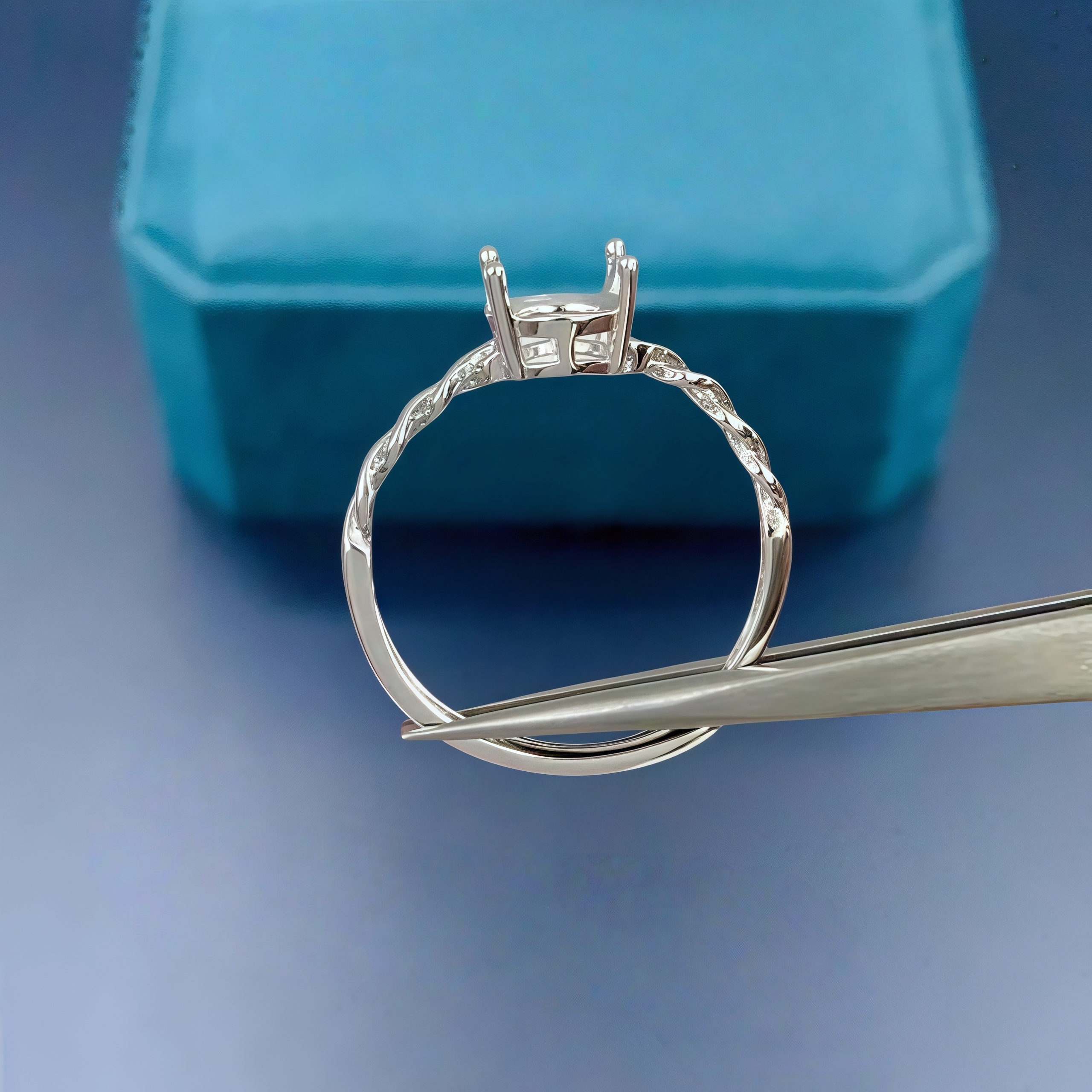DIY Empty Ring Holder S925 Ste - Women Accessories Holder recension och pris